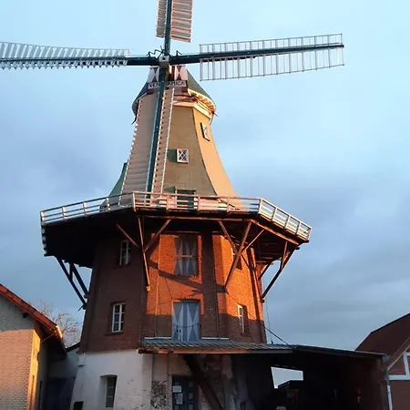 Elbdiek Ferienhaus