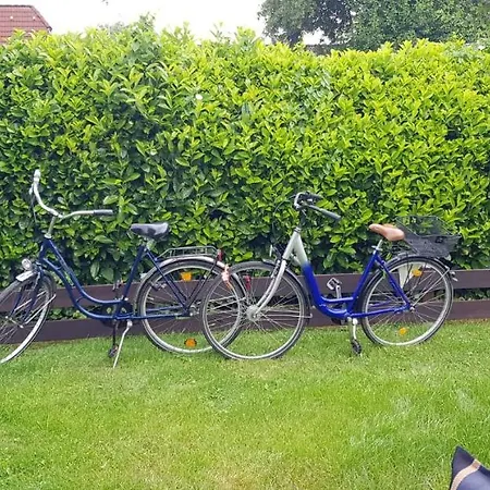 Elbdiek Дом отдыха Bachenbrock